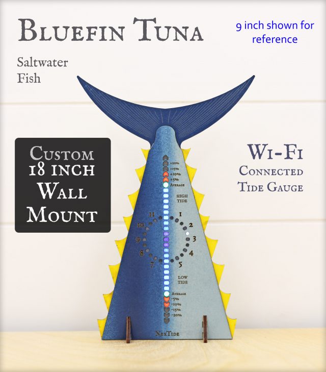 Bluefin Tuna 18" Wall Mount